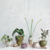 imageCreative CoOp Round Distressed TerraCotta Footed Planter Coral