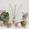 imageCreative CoOp Round Volcano TerraCotta Planter Gold