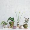 imageCreative CoOp Round Volcano TerraCotta Planter Gold