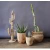 imageCreative CoOp Rounded Paulownia Wood Pots Set of 2 SizesModern