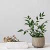 imageCreative CoOp Stoneware Etched Flower Design White Planter