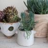 imageCreative CoOp Stoneware Planter with Abstract Face White