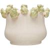imageCreative CoOp Stoneware Planter with Frog Figurine Rim Multicolor