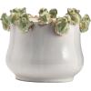 imageCreative CoOp Stoneware Planter with Frog Figurine Rim Multicolor