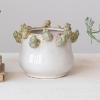 imageCreative CoOp Stoneware Planter with Frog Figurine Rim Multicolor