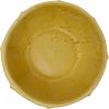 imageCreative CoOp Stoneware Planter with Organically Shaped Detail Yellow