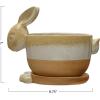 imageCreative CoOp Stoneware Rabbit Saucer Multicolor Planter Tan