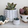imageCreative CoOp Stoneware Sculptural Raised Dots Ivory Planter