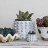 imageCreative CoOp Stoneware Sculptural Raised Dots Ivory Planter