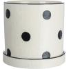 imageCreative CoOp Textured Stoneware Polka Dots and Saucer Black and Ivory Planter
