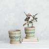 imageCreative CoOp Verdant Seagrass Basket Duo with Plastic Lining Green and Natural Set of 2