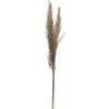 imageCreative CoOp 4314quotH Natural Pampas Grass Bunch Dried Botanticals Muted Purple