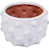 imageCreative CoOp Handmade Hobnail TerraCotta Planter WhiteHolds 5 Pot