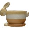 imageCreative CoOp Stoneware Rabbit Saucer Multicolor Planter Tan