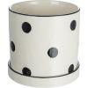 imageCreative CoOp Textured Stoneware Polka Dots and Saucer Black and Ivory Planter