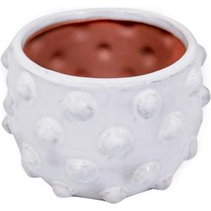 imageCreative CoOp Handmade Hobnail TerraCotta Planter WhiteHolds 5 Pot