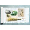 imageCreative CoOp 1734quotH Dried Natural Caspedia Bunch DF2585