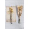 imageCreative CoOp 1734quotH Dried Natural Caspedia Bunch DF2585
