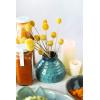 imageCreative CoOp 1734quotH Dried Natural Caspedia Bunch DF2585