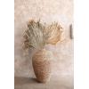 imageCreative CoOp 68quot L x 18quot W Dried Palm Fan Leaf