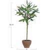 imageCreative CoOp Evergreen Faux Olive Topiary Tree in Dolomite Pot Green