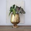 imageCreative CoOp Round Faux Elephant Ear Plant in Plastic Pot Natural and Black