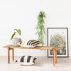 imageCreative CoOp Verdant Polyethylene Hanging Kokedama Green
