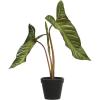 imageCreative CoOp Round Faux Elephant Ear Plant in Plastic Pot Natural and Black