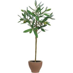 imageCreative CoOp Evergreen Faux Olive Topiary Tree in Dolomite Pot Green