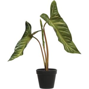 imageCreative CoOp Round Faux Elephant Ear Plant in Plastic Pot Natural and Black