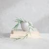 imageCreative CoOp 525 Inches Stoneware Shell Planter Reactive Glaze White Container
