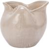 imageCreative CoOp 525 Inches Stoneware Shell Planter Reactive Glaze White Container