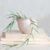imageCreative CoOp 525 Inches Stoneware Shell Planter Reactive Glaze White Container