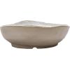 imageCreative CoOp 725 Inches Stoneware White Shell Set of 6 Bowls