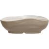 imageCreative CoOp 725 Inches Stoneware White Shell Set of 6 Bowls
