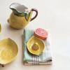 imageCreative CoOp Countryside Citrus Stoneware Lemon Juicer MulticolorJuicer