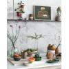 imageCreative CoOp Oval Seagrass Tray Natural