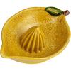 imageCreative CoOp Countryside Citrus Stoneware Lemon Juicer MulticolorJuicer