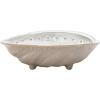 imageCreative CoOp 625 Inches Stoneware White Shell Abalone Set of 6 Plates