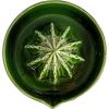 imageCreative CoOp CactusShaped Stoneware Juicer Green