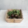imageCreative CoOp Long Artisanal Mango Wood Bowl Natural