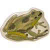 imageCreative CoOp Whimsical Butterfly Stoneware Plate MulticolorFrog