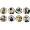 imageCreative CoOp Stoneware Plate Set with Animal Designs Multicolor Set of 8