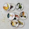imageCreative CoOp Stoneware Plate Set with Animal Designs Multicolor Set of 8