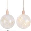 imageCreative CoOp Botanical Glow LED Glass Ornament Clear