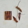 imageCreative CoOp Foam Feather Bird Clipon Ornaments Multicolor Set of 3
