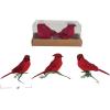 imageCreative CoOp Foam and Feather Cardinal Clipon Ornaments Red Set of 3