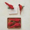imageCreative CoOp Foam and Feather Cardinal Clipon Ornaments Red Set of 3
