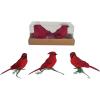 imageCreative CoOp Foam and Feather Cardinal Clipon Ornaments Red Set of 3