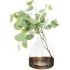 imageCreative CoOp Decorative Glass Cloche with Metal Tray Clear and Copper
